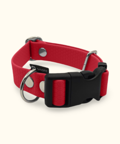 Obojek Start: Červený