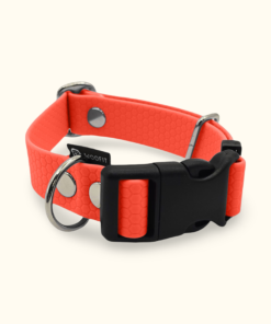 Obojek Start: Neonově oranžový