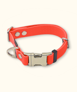 Obojek Park: Neonově oranžový