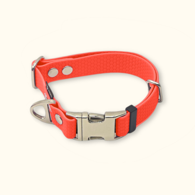 Obojek Park: Neonově oranžový