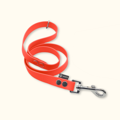 Vodítko Forest: Neonově oranžové