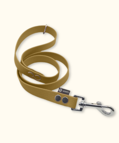 Vodítko Forest: Zlaté