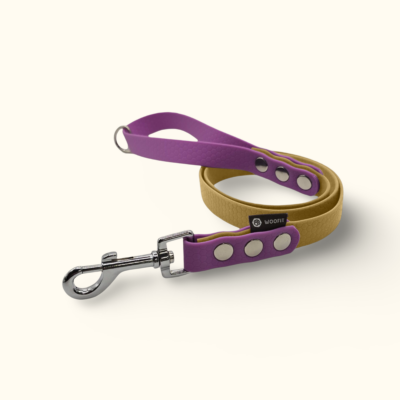 Vodítko Forest DuoTone: Zlaté