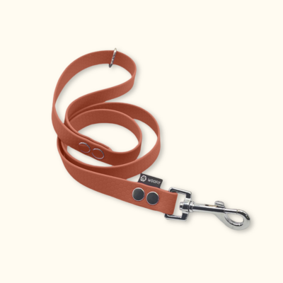 Vodítko Forest: Terakotové