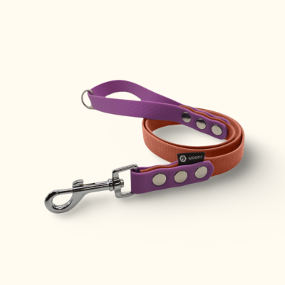 Vodítko Forest DuoTone: Terakotové