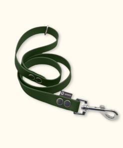 Vodítko Forest: Olivové