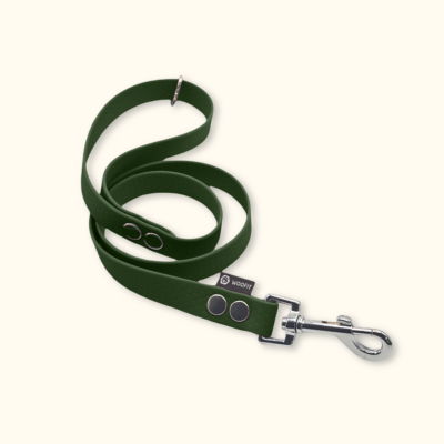 Vodítko Forest: Olivové