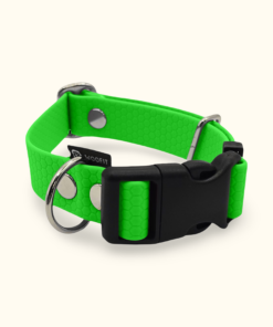 Obojek Start: Neonově zelený