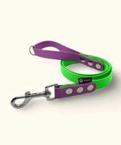 Vodítko Forest DuoTone: Neonově zelené