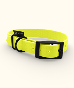 Obojek Ranch: Neonově žlutý