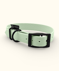 Obojek Ranch: Jemně mátový