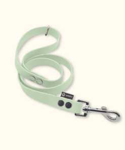 Vodítko Forest: Jemně mátové