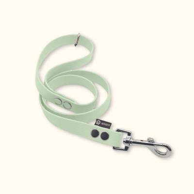 Vodítko Forest: Jemně mátové