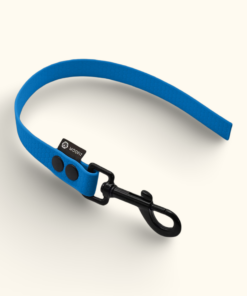 Couračka Field: Světle modrá