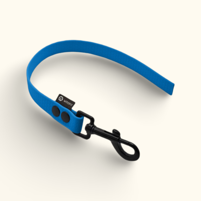 Couračka Field: Světle modrá