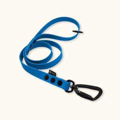 Vodítko Peak: Světle modré