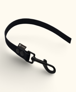 Couračka Field: Černá