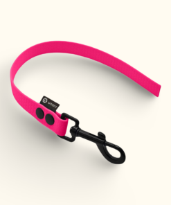 Couračka Field: Růžová