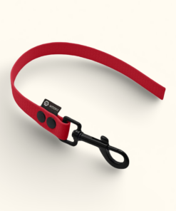 Couračka Field: Červená