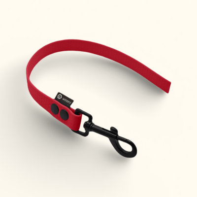 Couračka Field: Červená