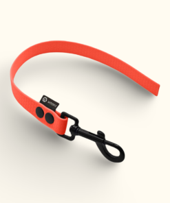 Couračka Field: Neonově oranžová