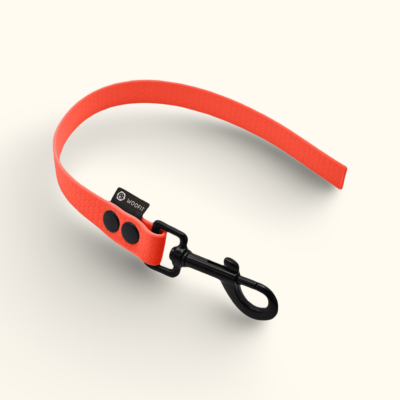 Couračka Field: Neonově oranžová