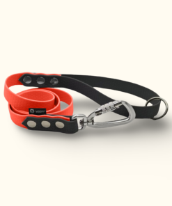 Vodítko Peak DuoTone: Neonově oranžové