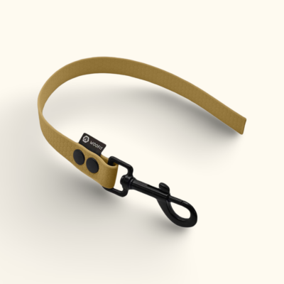 Couračka Field: Zlatá