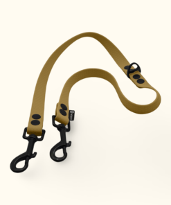 Rozdvojka Twin Trails: Zlatá