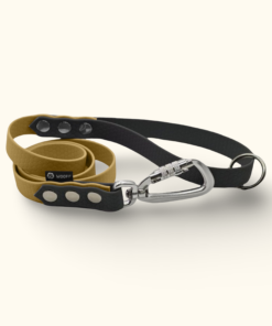 Vodítko Peak DuoTone: Zlaté