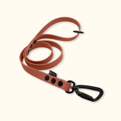 Vodítko Peak: Terakotové