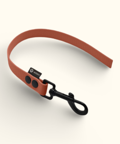 Couračka Field: Terakotová