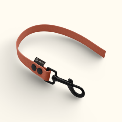 Couračka Field: Terakotová