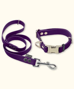 Essential Set: obojek Park + vodítko Forest: Fialový