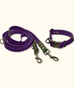 Everyday Set: obojek Park + přepínací vodítko Hike DuoTone: Fialový