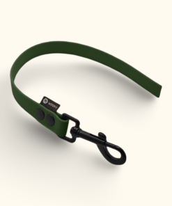 Couračka Field: Olivová