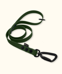 Vodítko Peak: Olivové