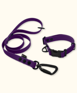 Endurance Set: obojek Park + vodítko Peak: Fialový