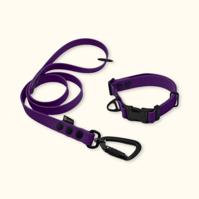 Endurance Set: obojek Park + vodítko Peak: Fialový