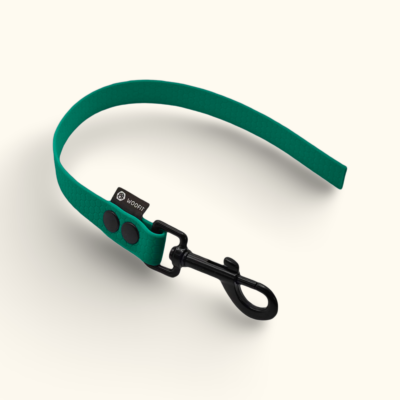 Couračka Field: Tmavě zelená