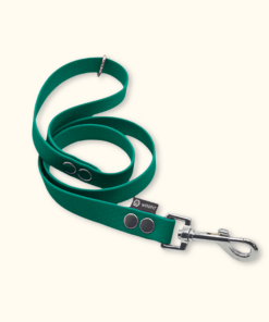 Vodítko Forest: Tmavě zelené