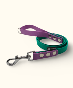 Vodítko Forest DuoTone: Tmavě zelené