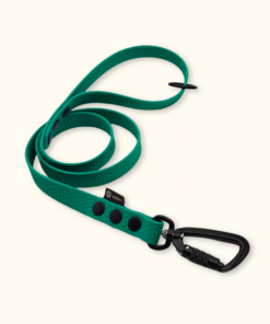 Vodítko Peak: Tmavě zelené