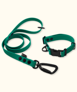 Endurance Set: obojek Park + vodítko Peak: Tmavě zelený