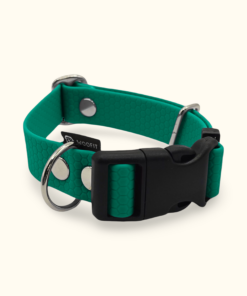 Obojek Start: Tmavě zelený