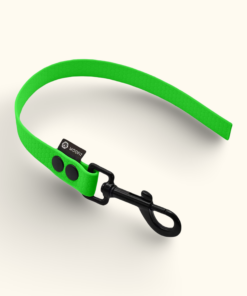 Couračka Field: Neonově zelená