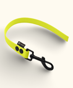 Couračka Field: Neonově žlutá