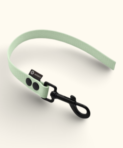 Couračka Field: Jemně mátová