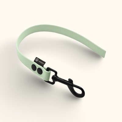 Couračka Field: Jemně mátová