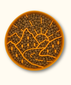 Protihltací miska SlowMunch oranžová